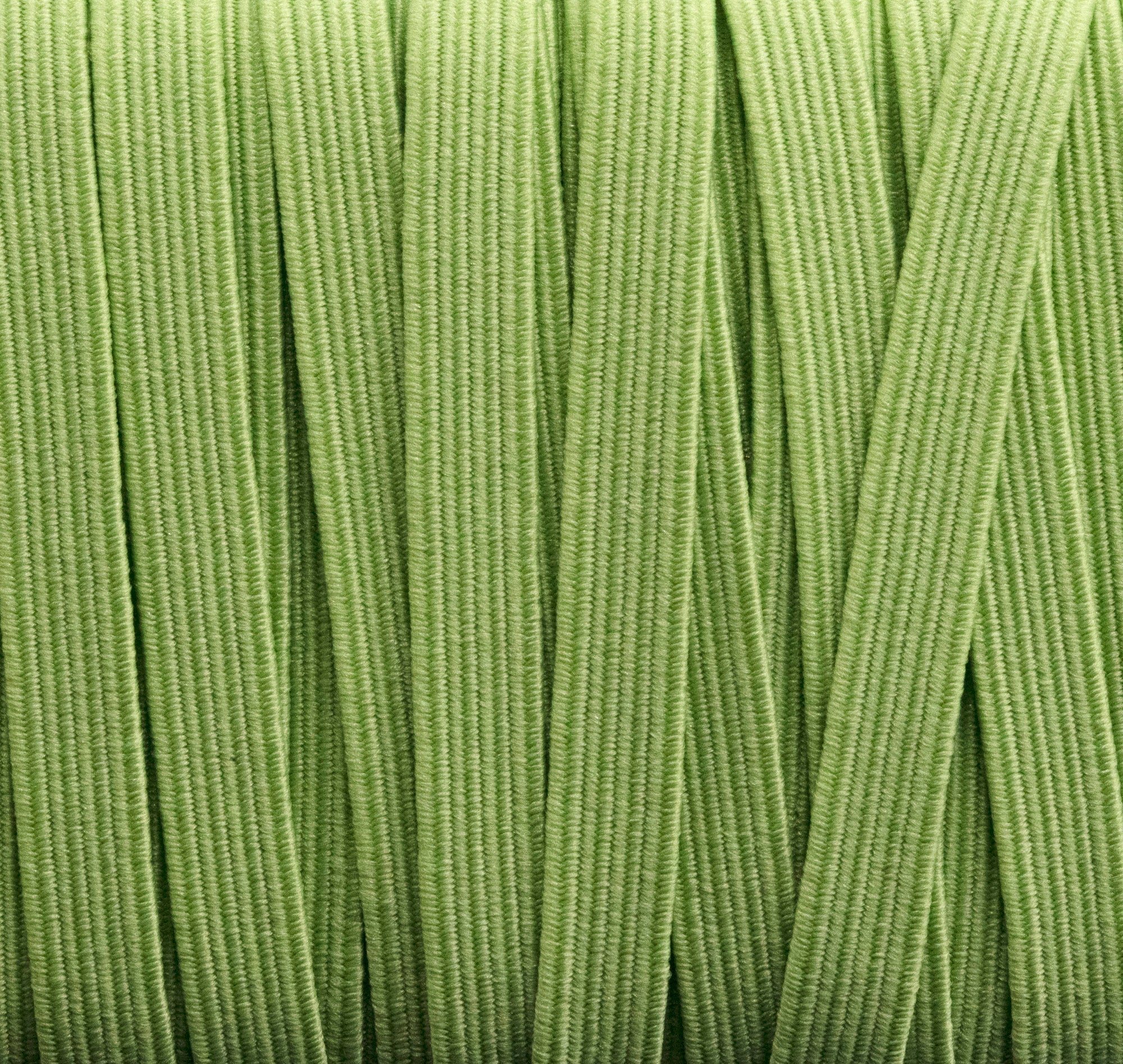 1/4 inch Elastic Pastel Green Elastic